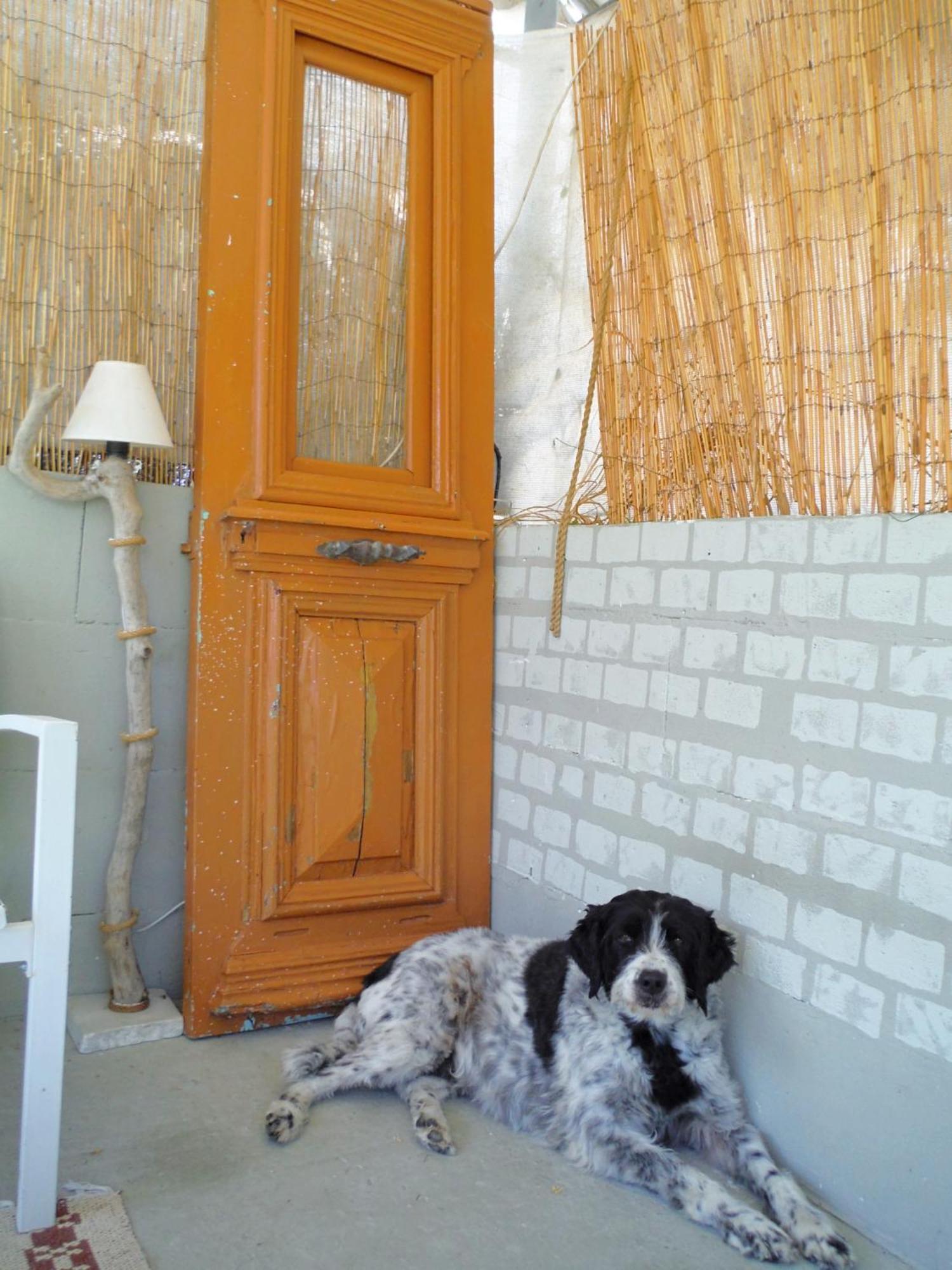 Port Rooms Limenas  Exterior photo